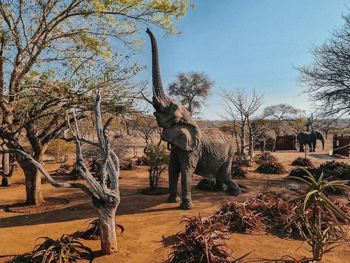 Tshukudu Game Lodge Hoedspruit Buitenkant foto